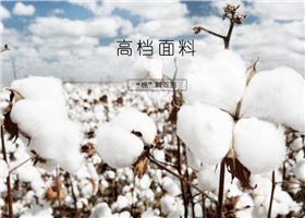 益达短袖T恤订做使用的面料