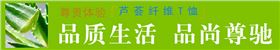 益达休闲T恤特点