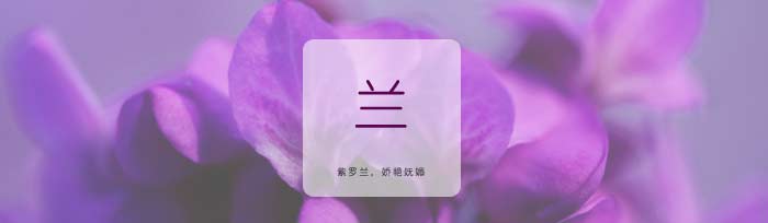 绿色益达短袖T恤