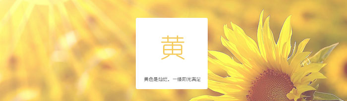 休闲T恤233178/233188